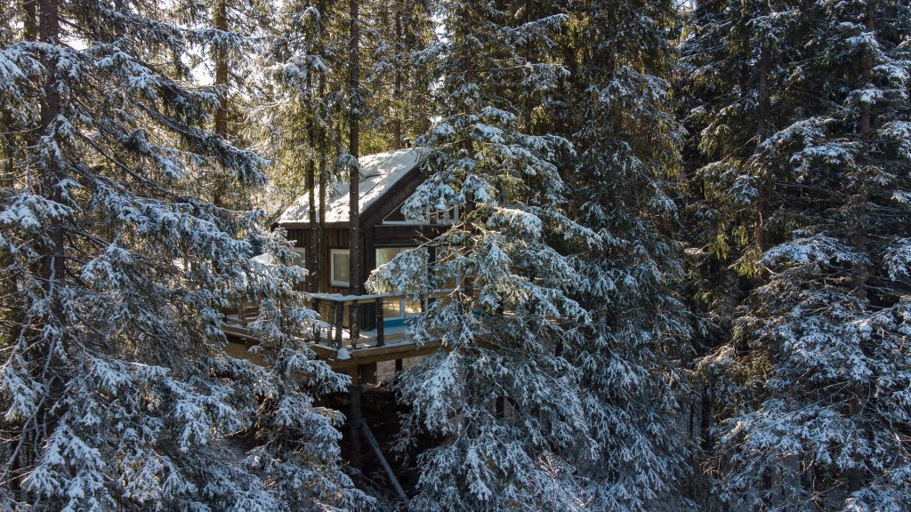 En koselig tretopphytte plassert blant frodige trær med utsikt over den vakre naturen i Lårdal, nær Dalen i Tokke kommune, Vest-Telemark